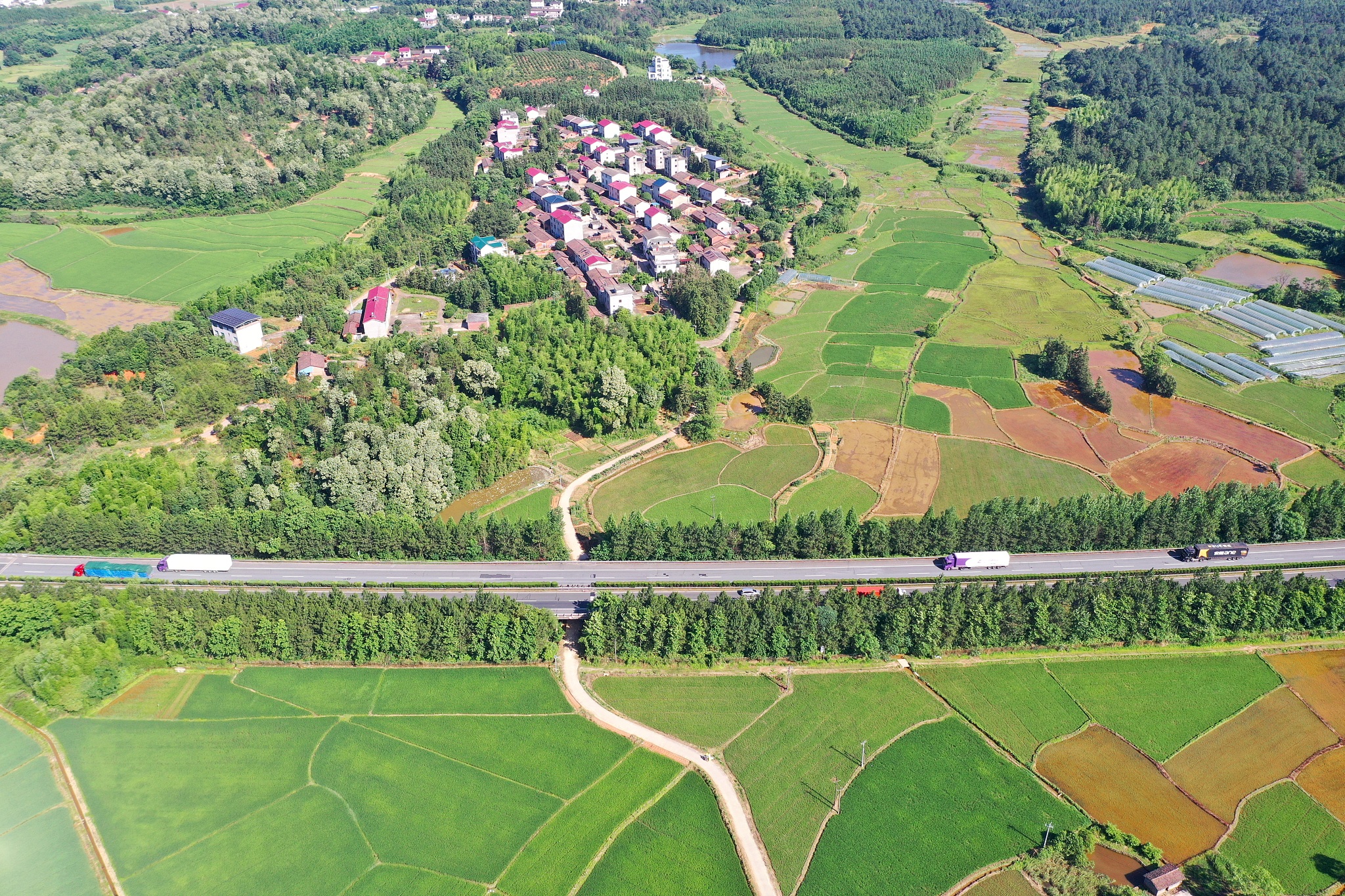 foto: VCG