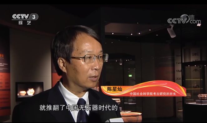 Chen Xingcan, directorul Institutului de Arheologie din cadrul Academiei Chineze de Științe Sociale