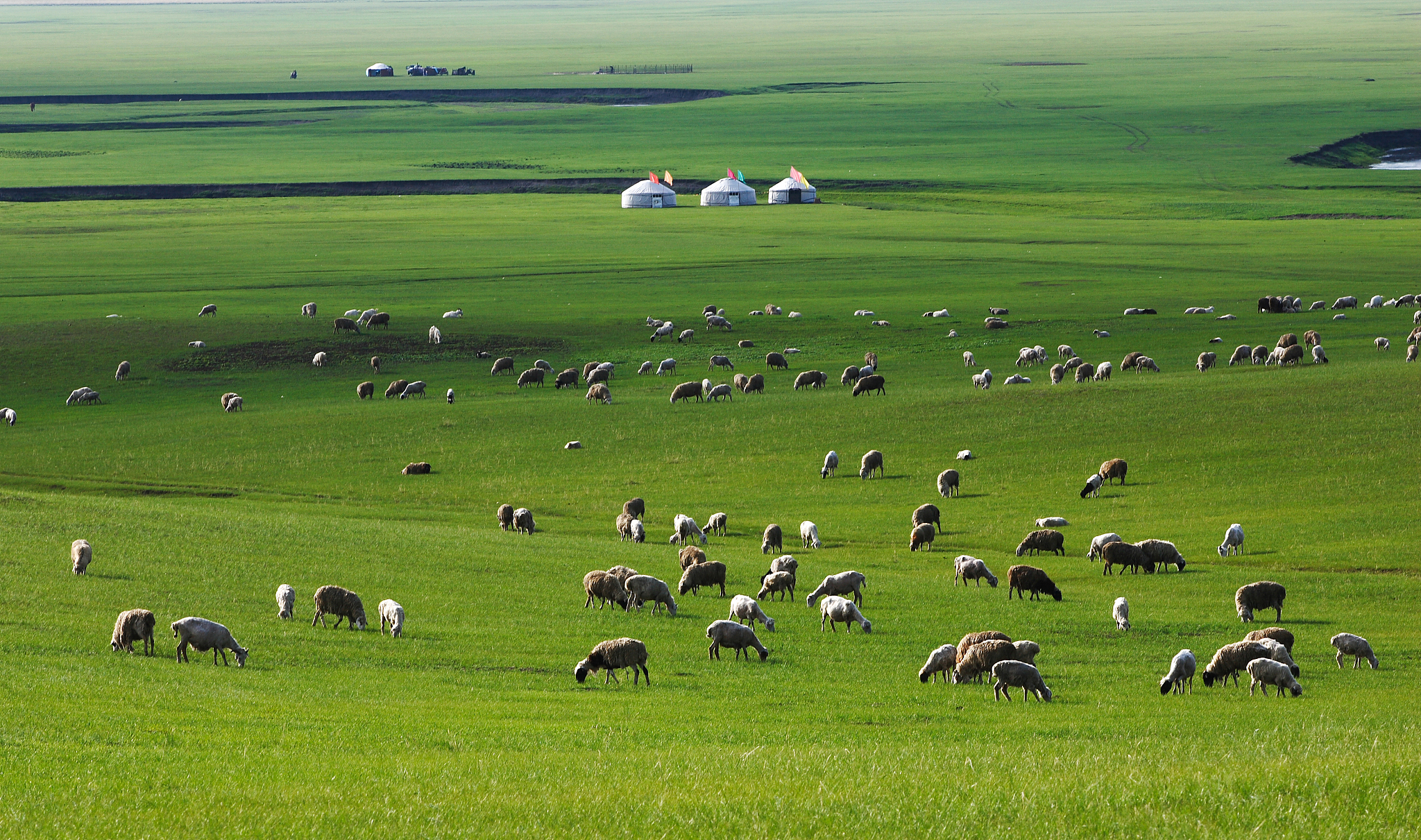 Mongolia e Brendshme