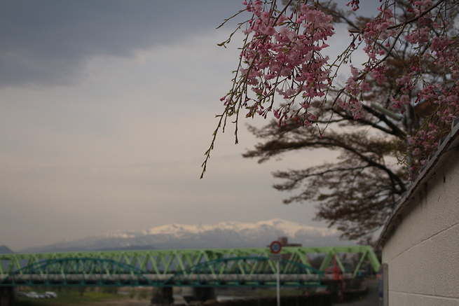 图片默认标题_fororder_５桜と雪山・福島大学国際交流センターからの眺め
