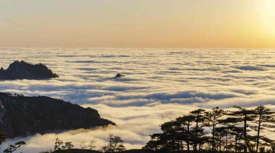 图片默认标题_fororder_20200114huangshan6