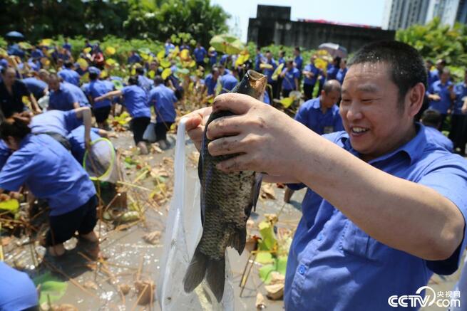 重慶の屋上菜園で魚捕りコンテストが開催_fororder_网3-2