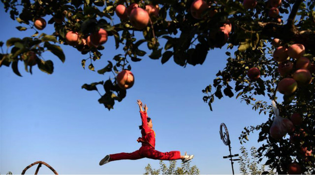 สาวหูหนวกไลฟ์เต้นรำขายแอปเปิ้ลบ้านเกิด_fororder_1021-pg-1