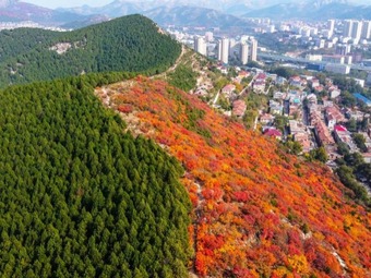 山東省済南市の蝎子山、赤と緑で真っ二つに