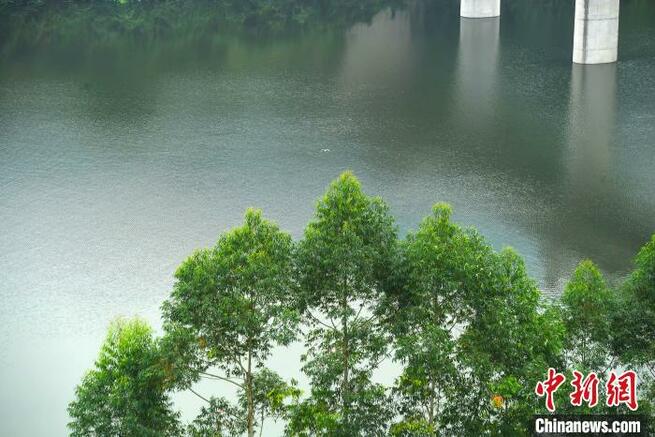 豊かな水をたたえる三峡ダム　重慶市_fororder_4