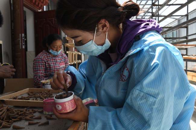 البخور الدوائي يساعد قرية تبتية في التخلص من الفقر