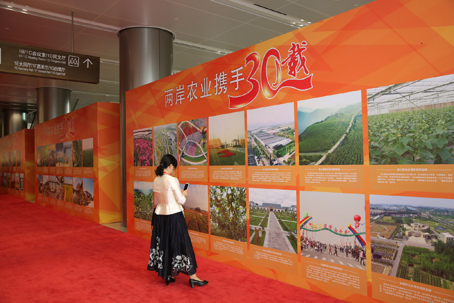 توقيع اتفاقيات للتعاون الزراعي بين جانبي مضيق تايوان بقيمة أكثر من 2.3 مليار يوان صيني