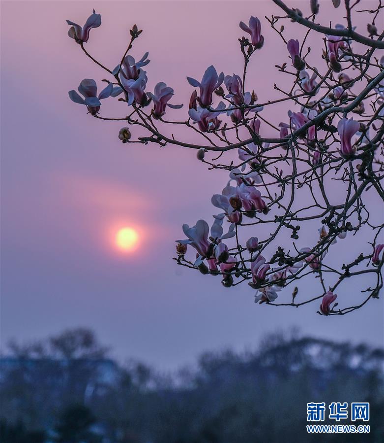 چین کے دارالحکومت بیجنگ میں موسم بہار کی آمد
