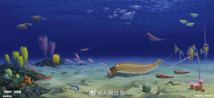 ค้นพบครั้งแรก! นักวิทยาศาสตร์จีนค้นพบฟอสซิลรูปกุ้งอายุกว่า 500 ล้านปี