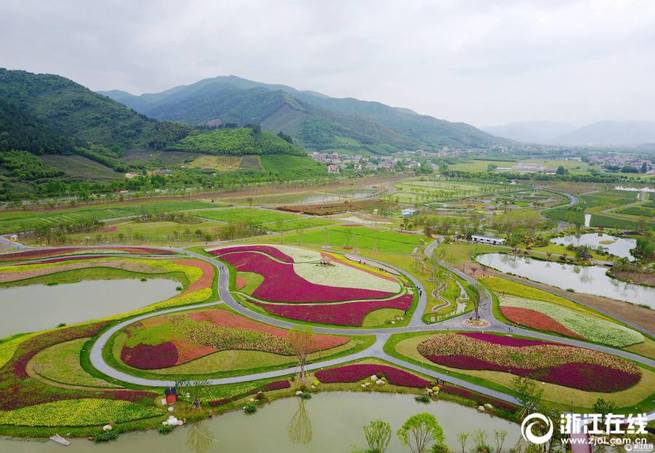 まるで巨大なフラワーカーペットの様に美しい「千花里」　杭州市