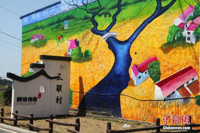 知名度急上昇の小さな村　民家に巨大な3D壁画登場　江西省