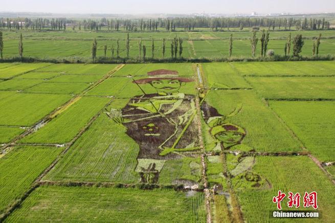 巨大なアート作品が出現　田んぼに描かれた「三生三世十里桃花」　新疆