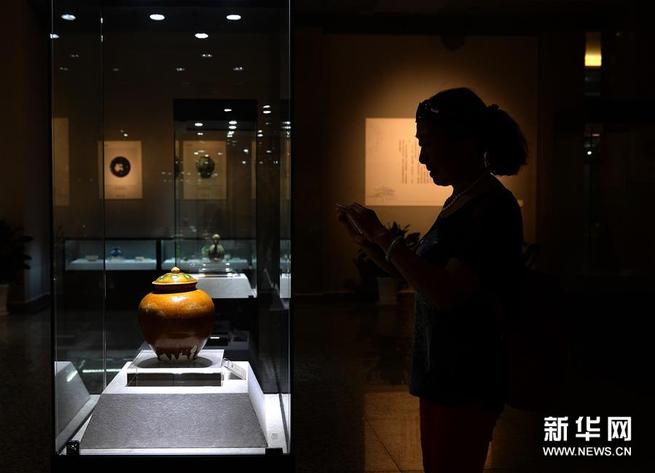 「大唐を仰ぎ見る」文化財展が西安で開催