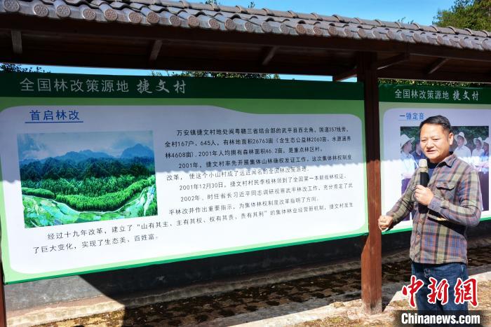 زراعة الأشجار تساعد أهل قرية صينية على التخلص من الفقر