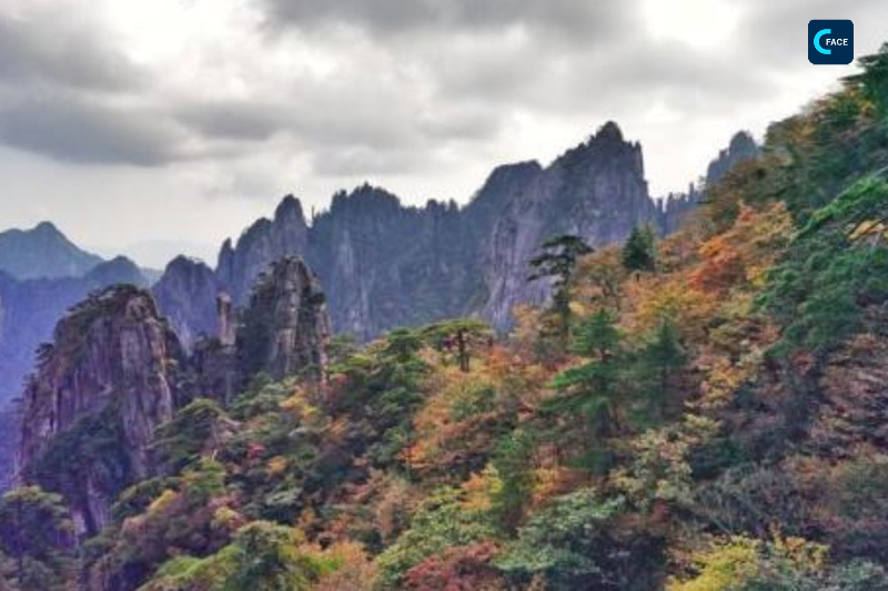 งาม! ทิวทัศน์ยามฤดูใบไม้ร่วงของภูเขาหวงซานแห่งมณฑลอานฮุย (Mount Huangshan) งดงามประดุจภาพวาด