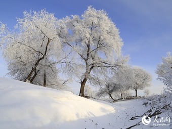 幻想的な霧氷の景色が広がる　黒竜江省