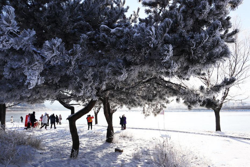 ชมทิวทัศน์สวยงามที่“เมืองแห่งต้นสนหิมะ”ของจีน