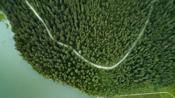 中国の植樹造林が驚くほどの規模でCO2を吸収