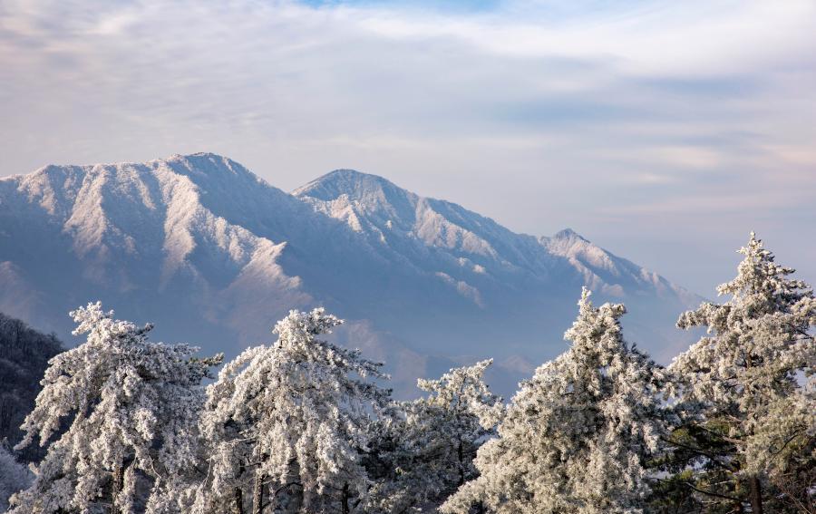 المناظر الثلجية لجبال هوه شان بمقاطعة آنهوي بشرق الصين