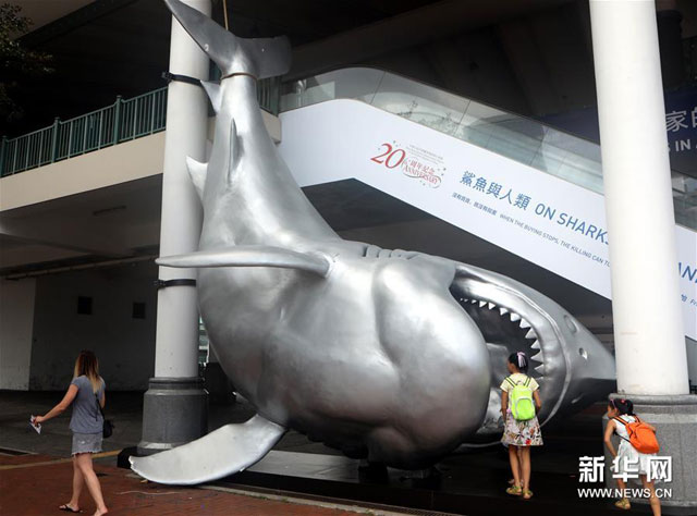 香港で「サメと人類」展示会が開催中