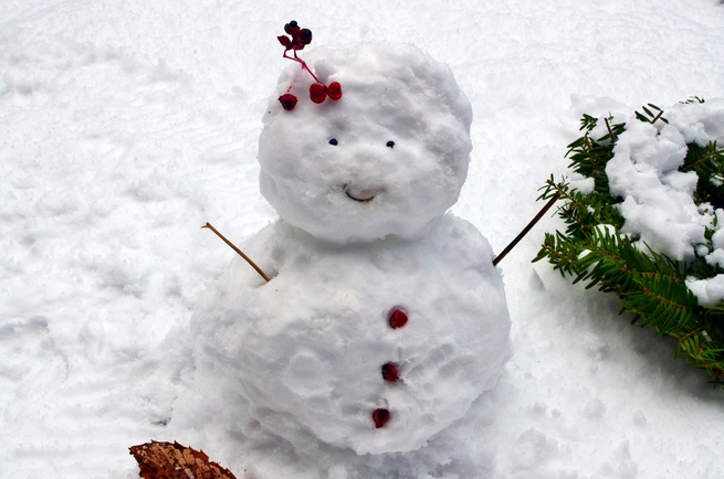 12月29日　火曜日_fororder_「妻の作った雪だるま」（12月16日 高知県四万十市の杉村和男さんが撮影）.JPG