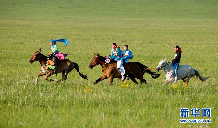 मंगोलियाली शैलीको घोडा प्रतियोगित_fororder_1