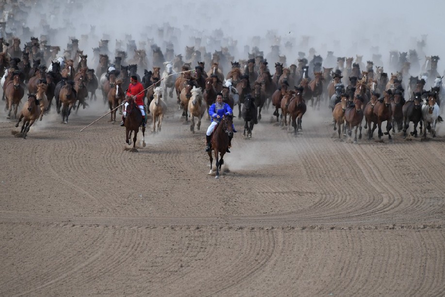 मंगोलियाली शैलीको घोडा प्रतियोगित_fororder_3