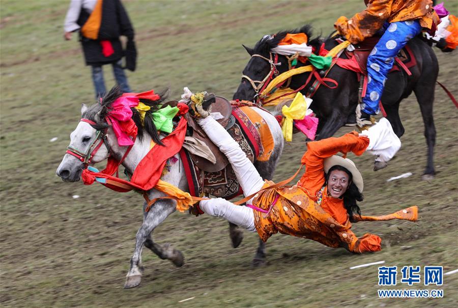 मंगोलियाली शैलीको घोडा प्रतियोगित_fororder_2
