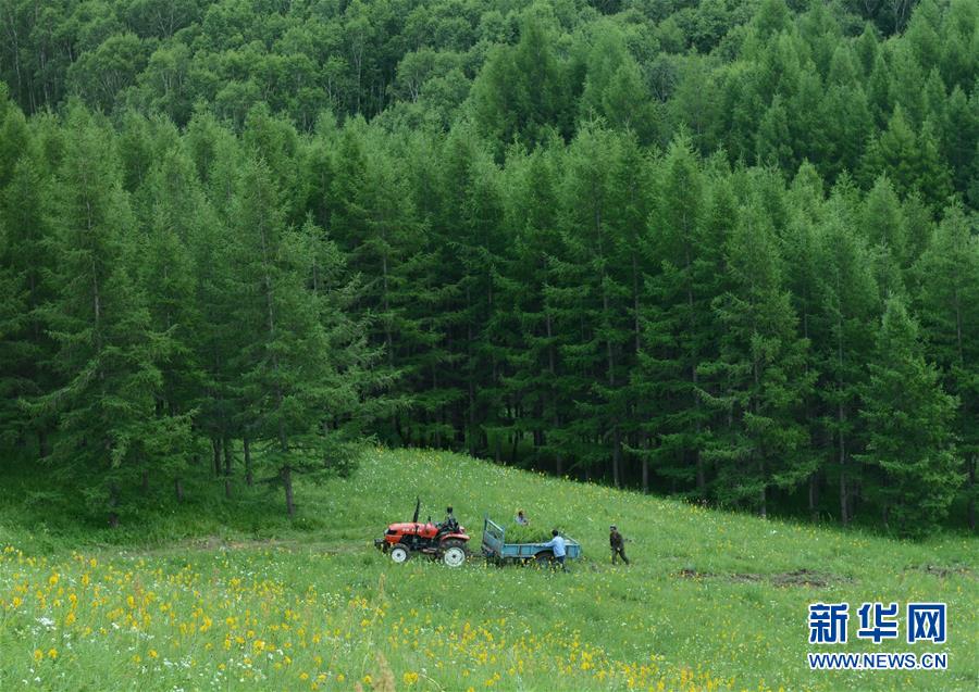 Prestasi Penanaman Hutan di Tiongkok_fororder_植树2021012602