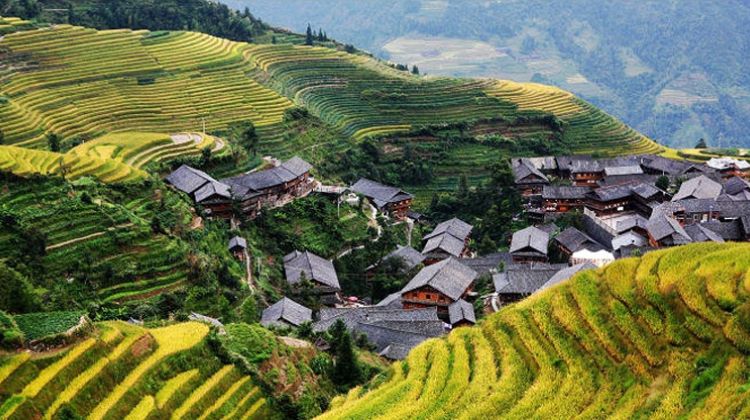 Longji Rice Terraces ที่สุดแห่งนาขั้นบันไดโลก_fororder_1