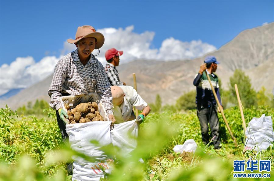 #समाचार सन्दर्भ# १८ वर्षदेखि 'कृषि, ग्रामीण क्षेत्र तथा किसान' चीनको केन्द्रीत प्राथमिकतामा_fororder_hima-20210224NHP-1