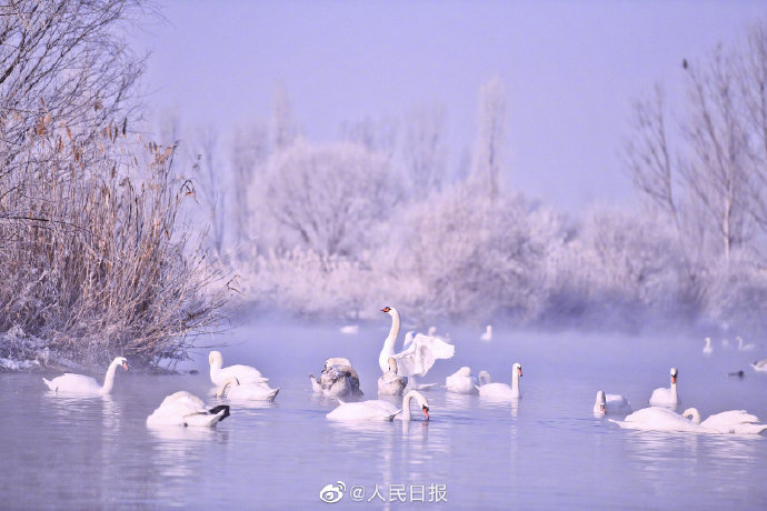 まるで童話の世界のように美しい「白鳥の湖」　新疆_fororder_1
