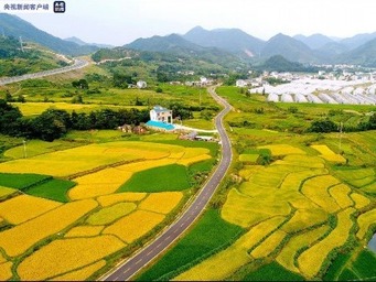 中国、2035年めどに農村の公道500万キロ以上到達を目指す人民網日本語版　2021年03月04日16:28