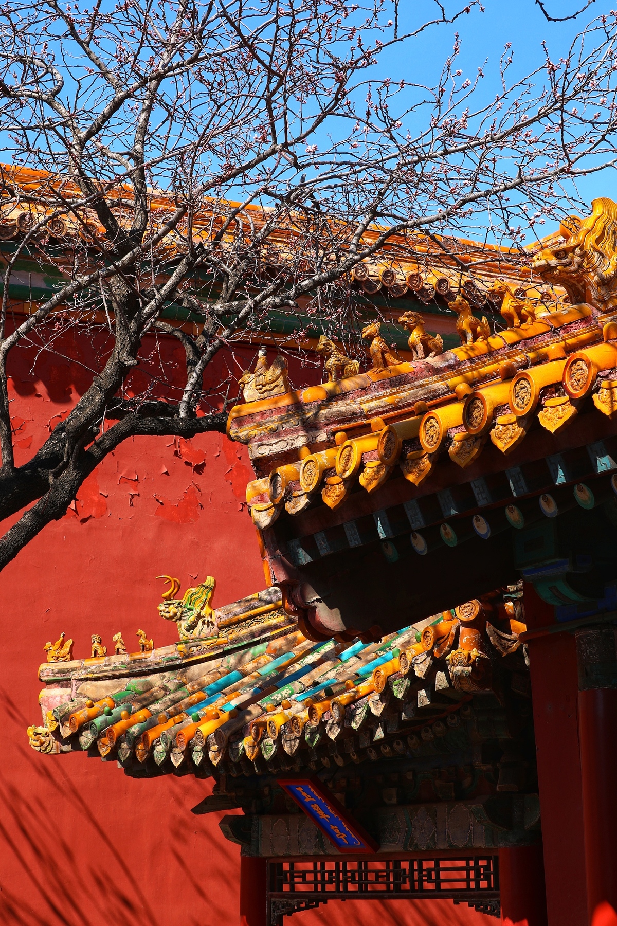 مناظر الربيع في متحف القصر الإمبراطوري ببكين_fororder_VCG111322353699