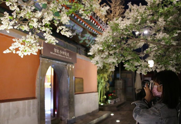 วัดจื้อฮั่วเปิดให้ชมดอกไม้ช่วงกลางคืน_fororder_北京智化寺1_副本