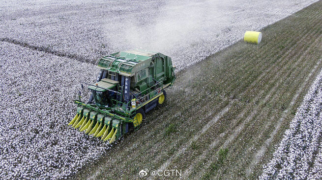 約15万ヘクタールの綿花を機械で収穫！機械化進み、高い収益得られるように　新疆_fororder_291398093