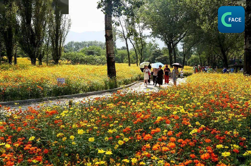 พื้นที่ชมดอกไม้ 172 แห่งในกรุงปักกิ่ง ต้อนรับนักท่องเที่ยวอย่างคึกคัก_fororder_20210329News05_2