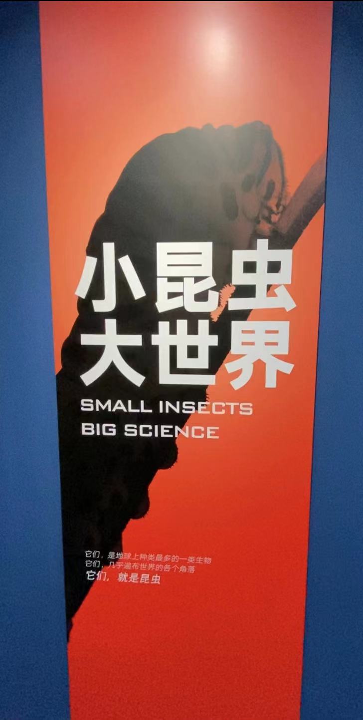 "حشرات صغيرة وعلوم كبيرة"_fororder_微信图片_20210401161633