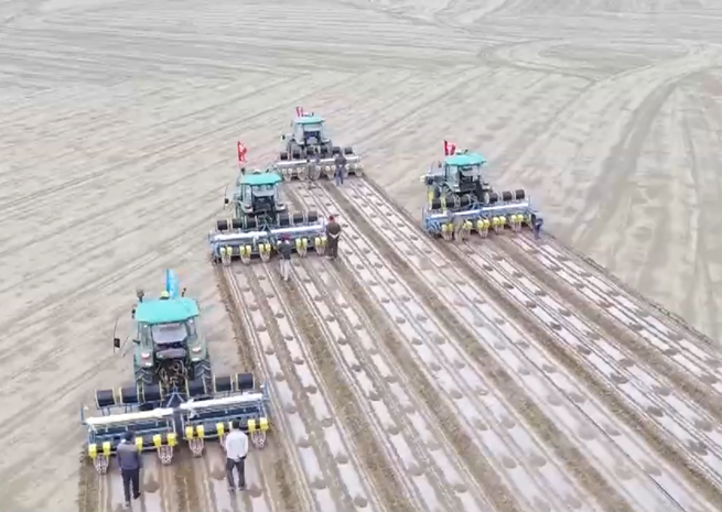 新疆・マナス県　綿花畑の種まき始まる、機械利用率98%_fororder_１－２