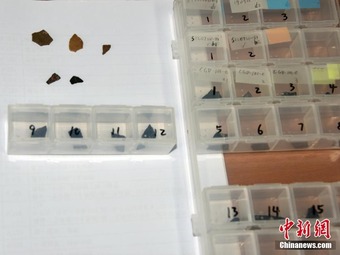 中国科学院、約8000万年前の恐竜の卵殻を発見