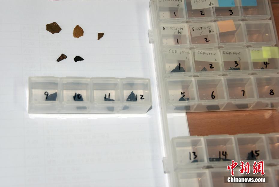 中国科学院、約8000万年前の恐竜の卵殻を発見_fororder_1-1