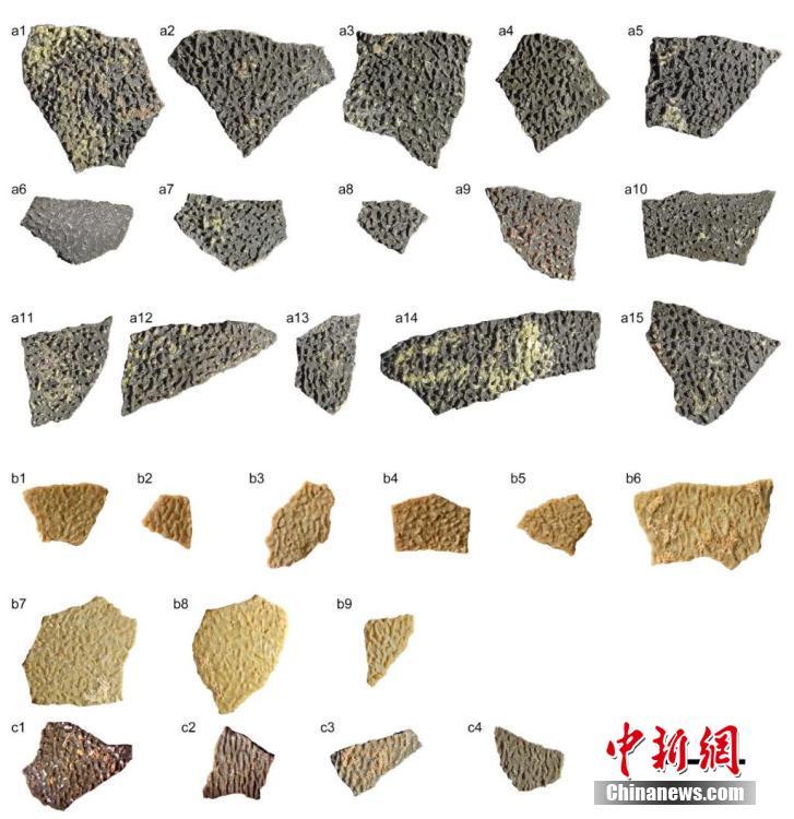 中国科学院、約8000万年前の恐竜の卵殻を発見_fororder_1-2