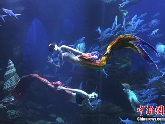 観光客を魅了する「人魚姫」の舞い　貴州省貴陽市