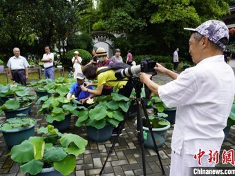 第1回蓮の花文化フェスティバルが開催　福建省福州