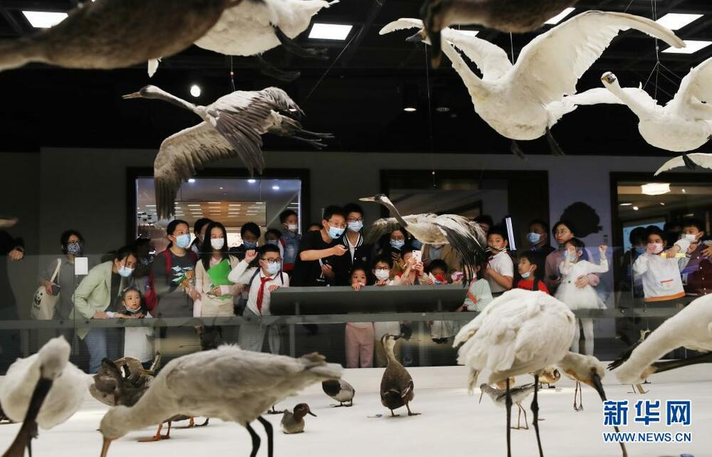 2021年上海自然博物館ナイトミュージアムイベントがスタート_fororder_FOREIGN202105191504000565809099215