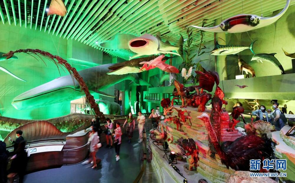 2021年上海自然博物館ナイトミュージアムイベントがスタート_fororder_FOREIGN202105191504000559671569090