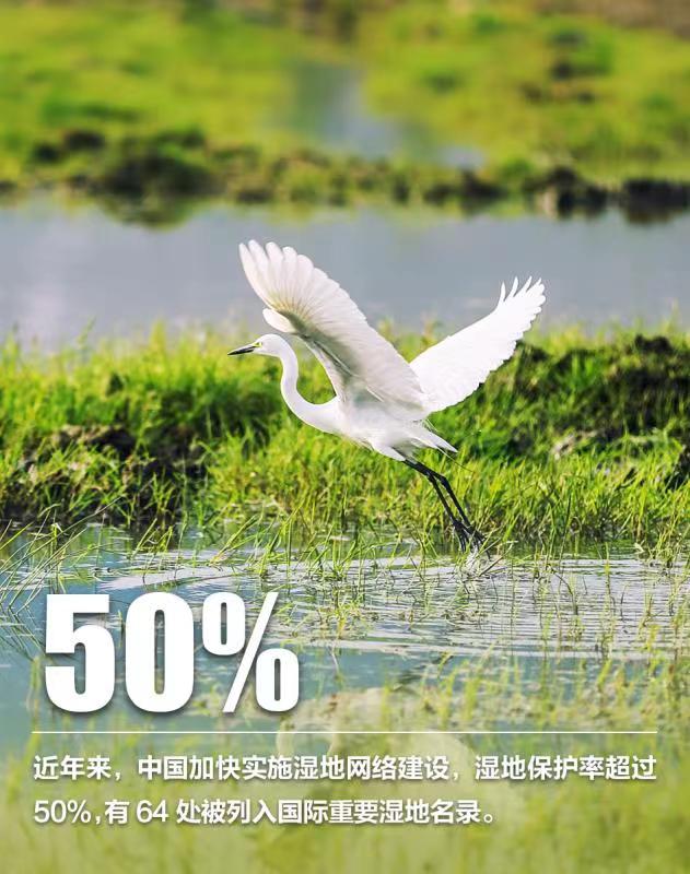 การอนุรักษ์ความหลากหลายทางชีวภาพของจีนประสบความสำเร็จดีเยี่ยม_fororder_WechatIMG2657