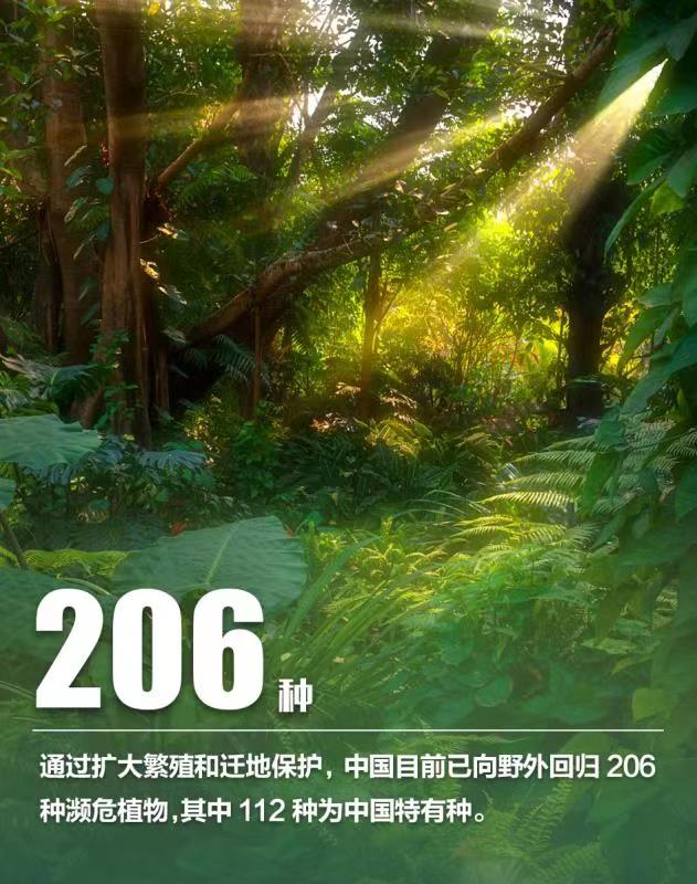 การอนุรักษ์ความหลากหลายทางชีวภาพของจีนประสบความสำเร็จดีเยี่ยม_fororder_WechatIMG2658