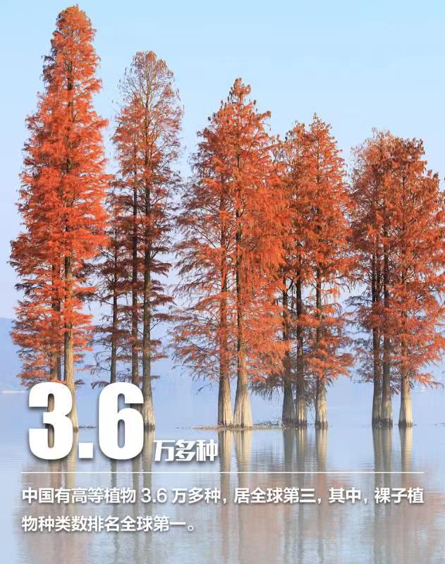 การอนุรักษ์ความหลากหลายทางชีวภาพของจีนประสบความสำเร็จดีเยี่ยม_fororder_WechatIMG2652
