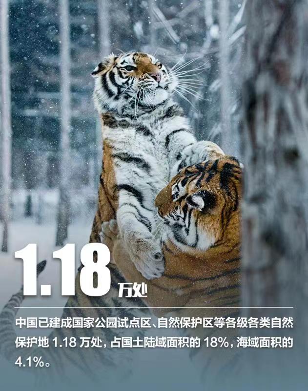 การอนุรักษ์ความหลากหลายทางชีวภาพของจีนประสบความสำเร็จดีเยี่ยม_fororder_WechatIMG2656